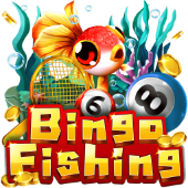 Bingo Fishing game on Paytime
